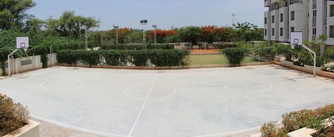 Basketball court